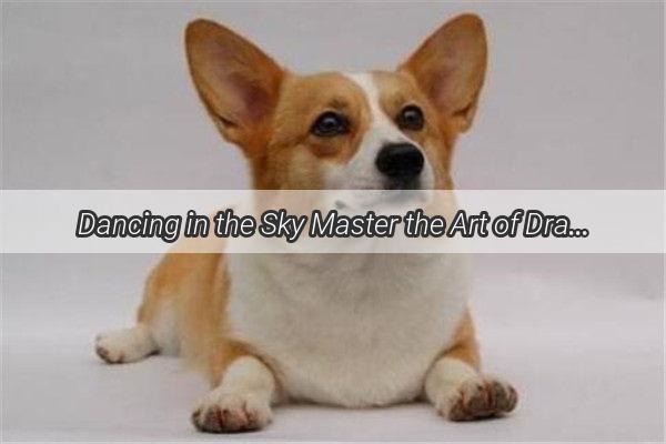 Dancing in the Sky Master the Art of Drawing a Whirling Canine